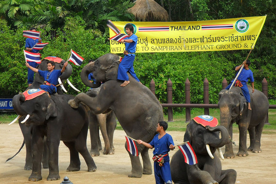 Elephant and Crocodile Show (Samphan)